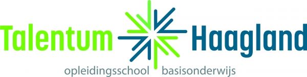 Nieuwe website voor Talentum Haagland